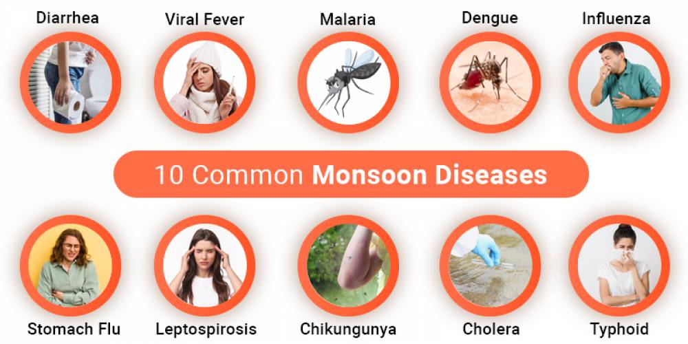 10 Common Monsoon Diseases You Should Know image