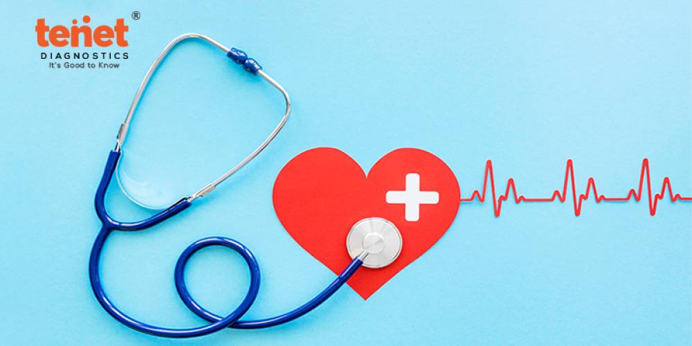 Heart Checkup Made Easy: Find the Right Heart Checkup Package for you. image