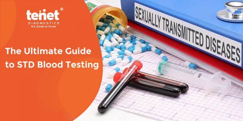The ultimate guide to STD blood testing: What You Need to Know image