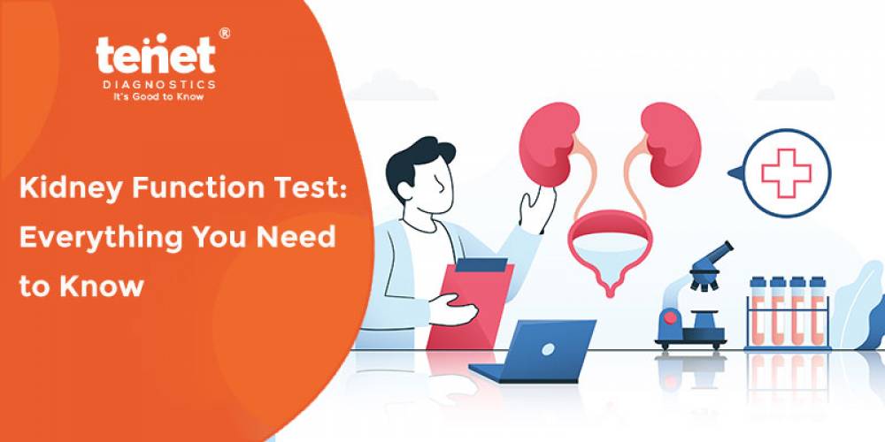 Kidney Function Test: Everything You Need to Know image
