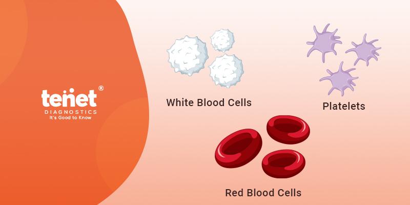 RBC Blood Test: Normal Ranges and Diagnostic Uses